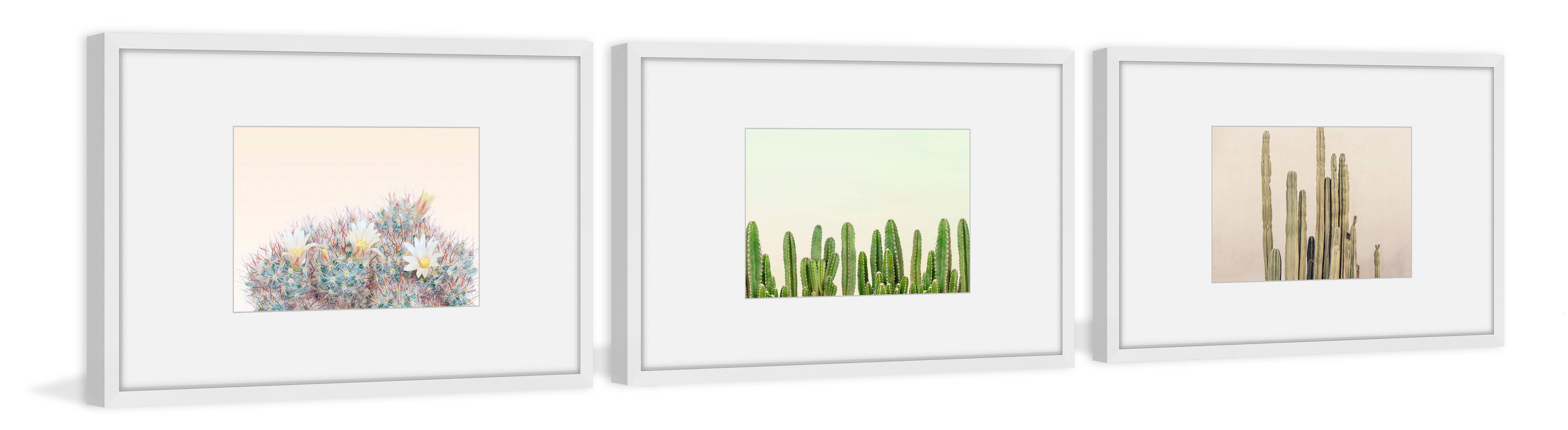 Floral Cactus Triptych, Art Prints, 135.00" x 1.50"