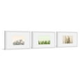thumbnail image 1 of Floral Cactus Triptych, Art Prints, 90.00" x 1.50", 1 of 6