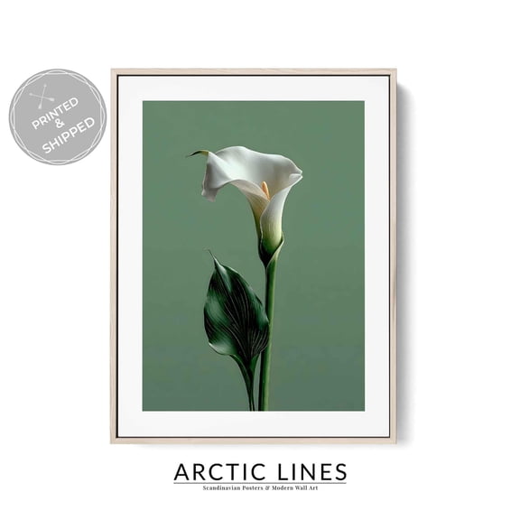 Floral Calla Lily Art Minimalist Botanical Lily Flower Photography Modern Nature Poster , Poster Print Only