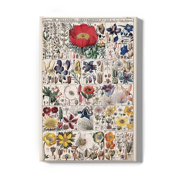 Floral Chart Wrapped Canvas -Vision Studio Designs,