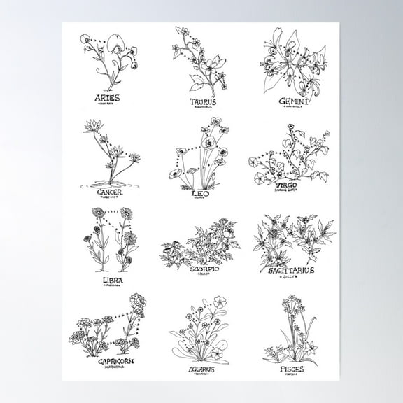 Floral Constellation - Ensemble Poster Wall Art, Modern Wall Decor For Living Room Bedroom, 8x12 UNFRAMED