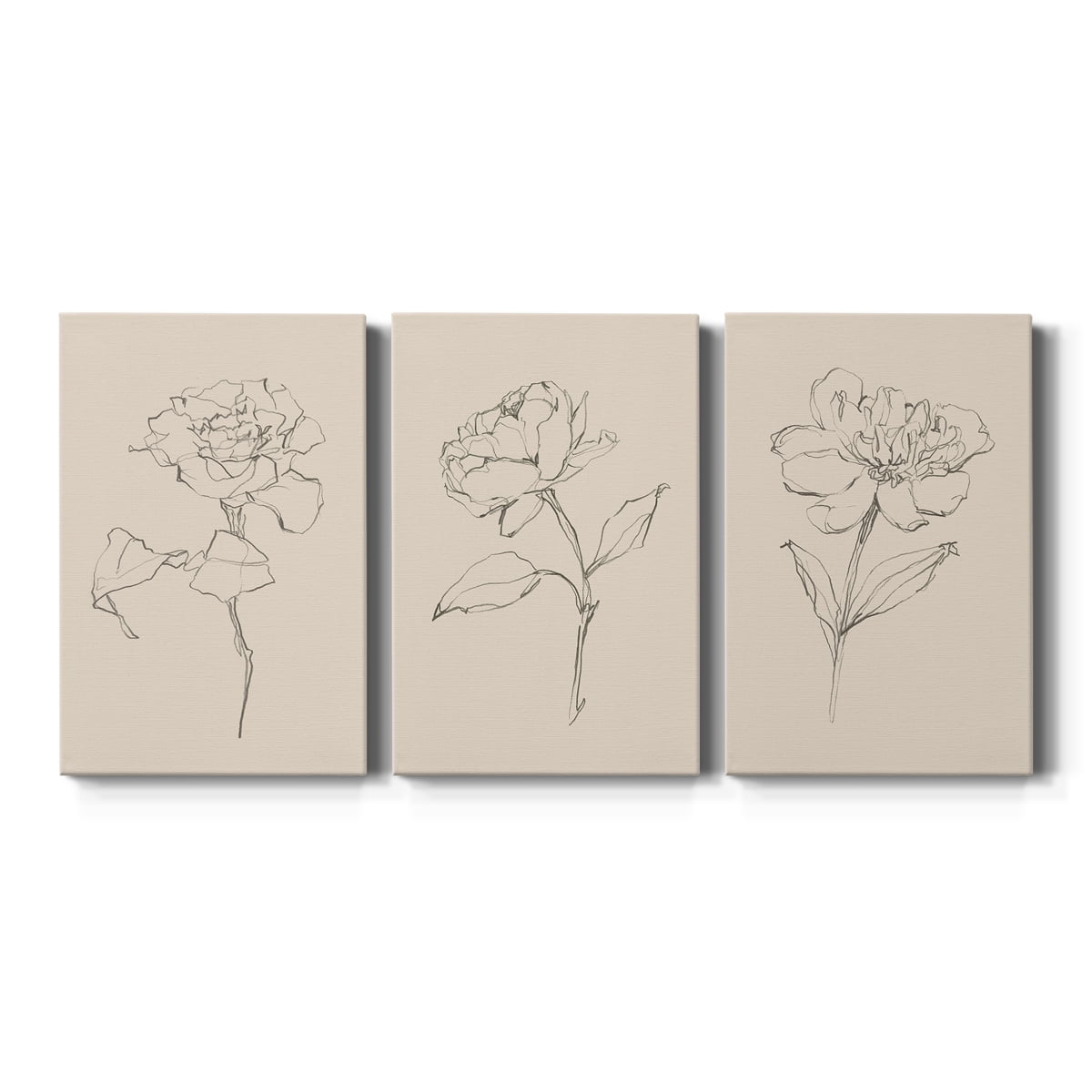 Floral Contour Study I Premium Gallery Wrapped Canvas - Ready to Hang - 24 x 36 Each