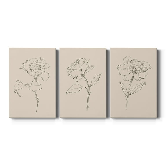 Floral Contour Study I Premium Gallery Wrapped Canvas - Ready to Hang - 8 x 12 Each
