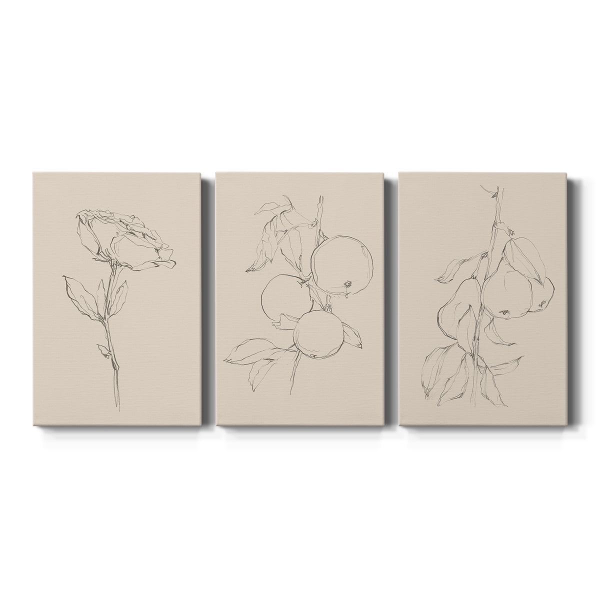 Floral Contour Study IV Premium Gallery Wrapped Canvas - Ready to Hang - 32 x 48 Each