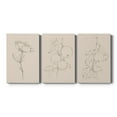 thumbnail image 1 of Floral Contour Study IV Premium Gallery Wrapped Canvas - Ready to Hang - 40 x 60 Each, 1 of 10