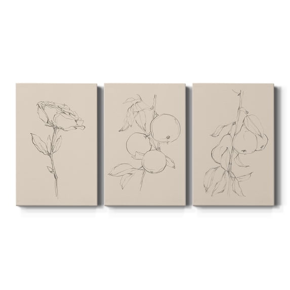 Floral Contour Study IV Premium Gallery Wrapped Canvas - Ready to Hang - 40 x 60 Each