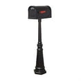 thumbnail image 1 of Floral Curbside Mailbox Decorative Tacoma Surface Mount Mailbox Post with Base, 1 of 5