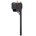 thumbnail image 1 of Outdoor Letter Holder Floral Curbside Mailbox with Newspaper Tube and Albion Mailbox Post, 1 of 7