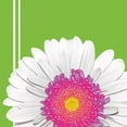 thumbnail image 1 of Floral 'Daisy Power' Lunch Napkins (18ct), 1 of 1