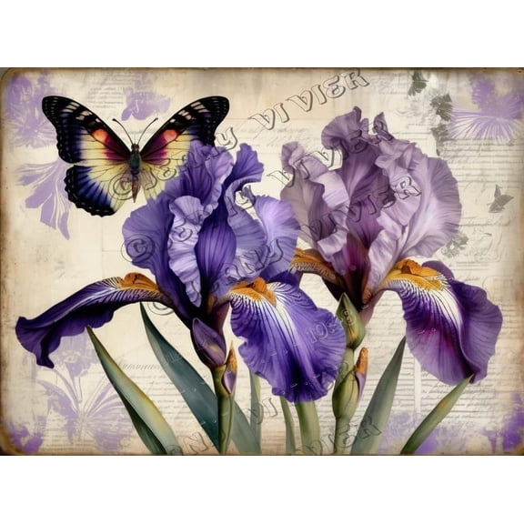 Floral Decor Purple Iris Flower Retro Aluminum Sign 5.5x8 IN Metal Tin Sign Iris Flower Wall Plate Country Decor for Bedroom Tin Garden Signs for Outside