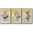 thumbnail image 1 of Floral Diary I - Framed Premium Gallery Wrapped Canvas L Frame 3 Piece Set - Ready to Hang, 1 of 4