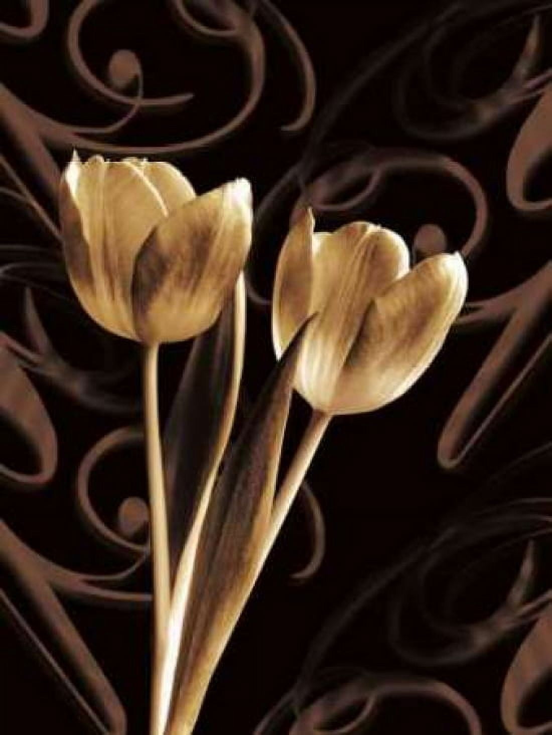 Floral Eloquence I Canvas Art - Ily Szilagyi (18 x 24)