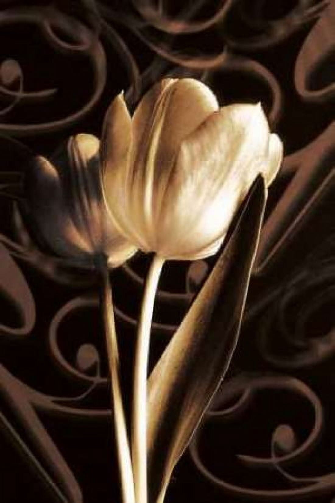 Floral Eloquence II Canvas Art - Ily Szilagyi (24 x 36)