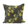 thumbnail image 1 of Floral Fluffy Throw Pillow Cushion Cover, Lemon Branches with Petals Growth Essence Nature Themed Print, Decorative Square Accent Pillow Case, 24" x 24", Olive Green Yellow, by Ambesonne, 1 of 5