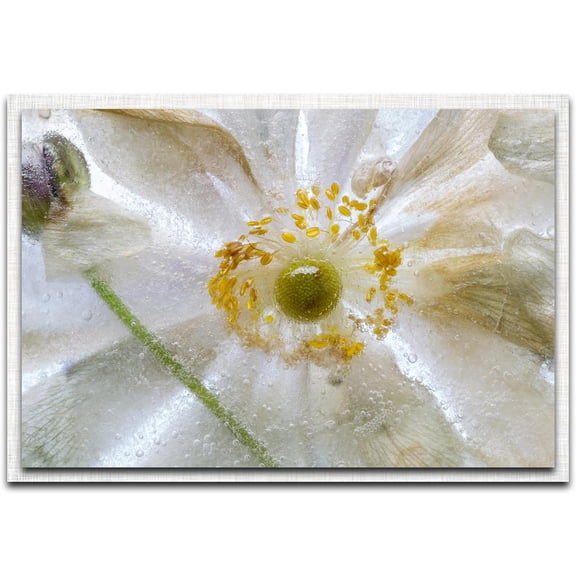 Floral Freeze Parchment Frame