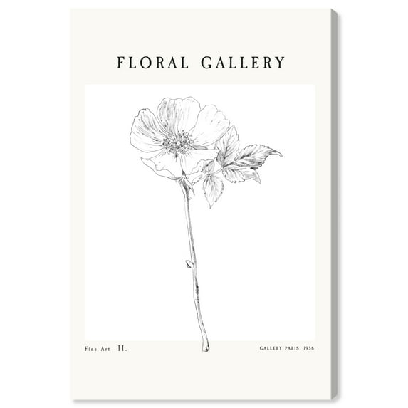 Floral Gallery Art Piece Floral and Botanical Wall Art Print White 16x24