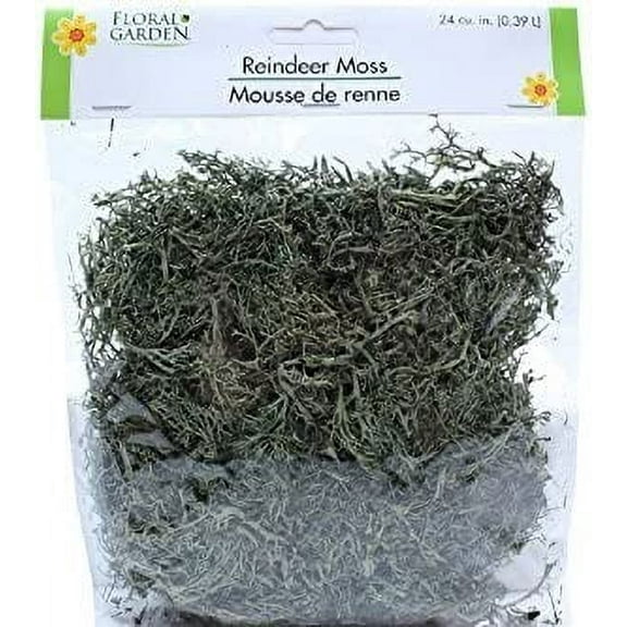 Floral Garden Reindeer Moss Halloween Decor 2 Packs 48 Cubic Inches