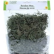 Floral Garden Reindeer Moss Halloween Decor 2 Packs 48 Cubic Inches
