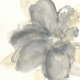 thumbnail image 1 of Floral Gray I Poster Print by Chris Paschke, 1 of 2
