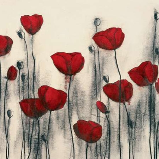 Floral I Canvas Art - Hans Andkjaer (24 x 24)