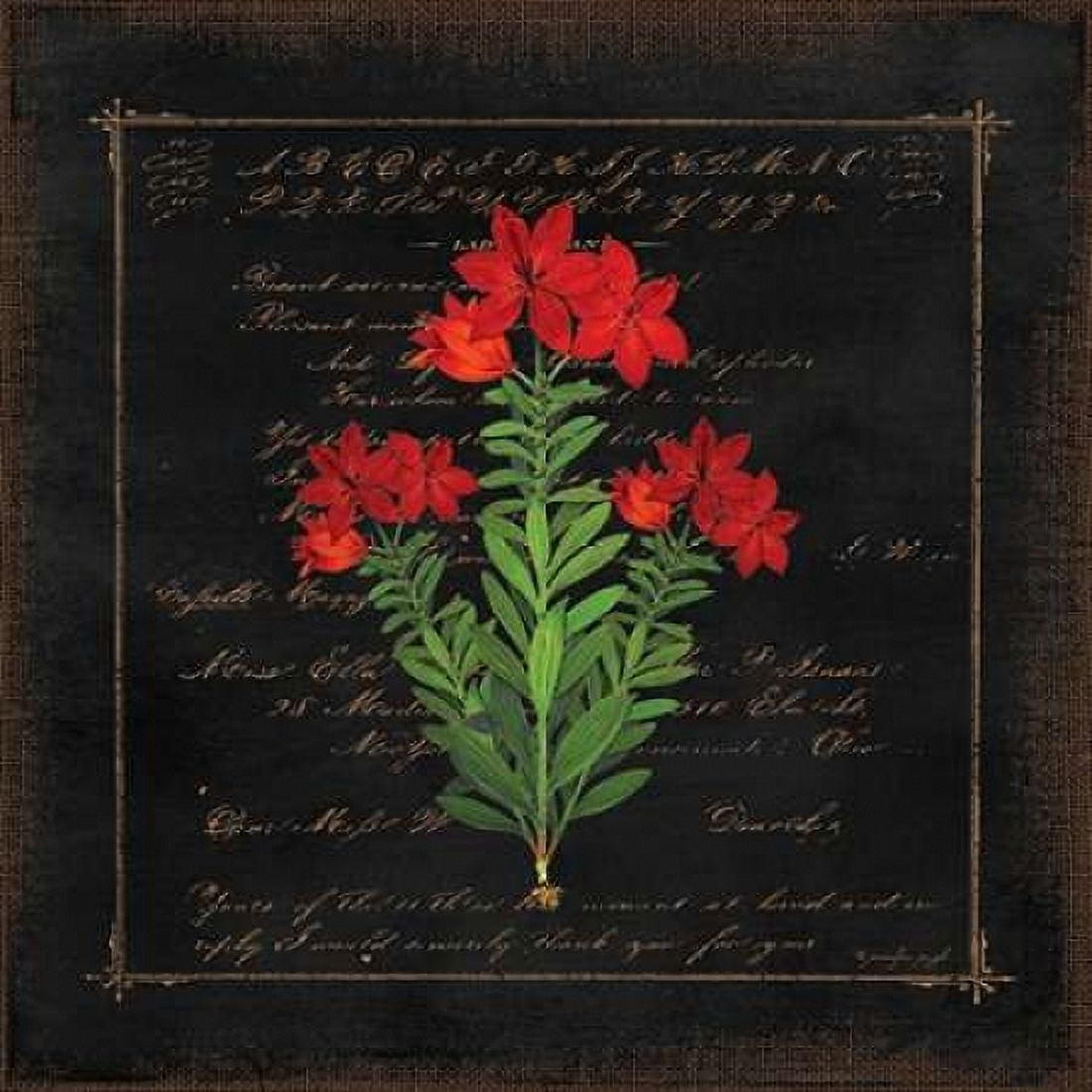 Floral I Canvas Art - Jennifer Pugh (24 x 24)