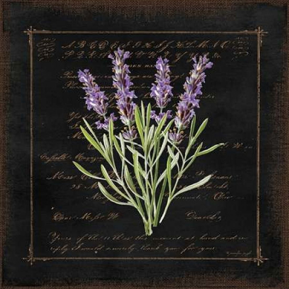 Floral III Canvas Art - Jennifer Pugh (24 x 24)