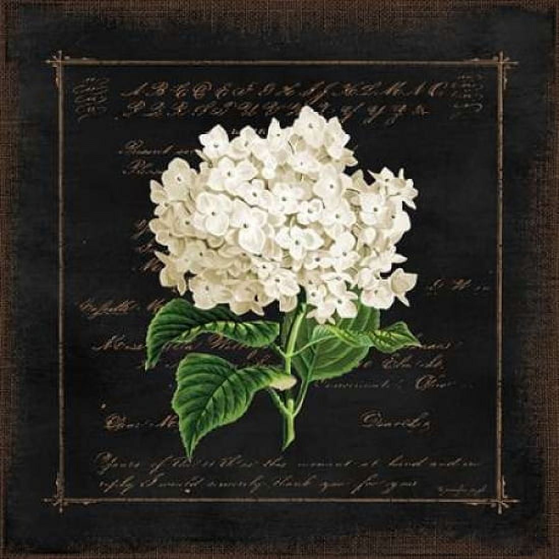 Floral IV Canvas Art - Jennifer Pugh (24 x 24)