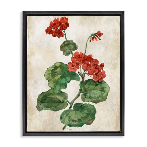 Stupell Industries Floral Journal Flower Painting Black Framed Floater Canvas Wall Art, design by Paul Brent, 21 x 17