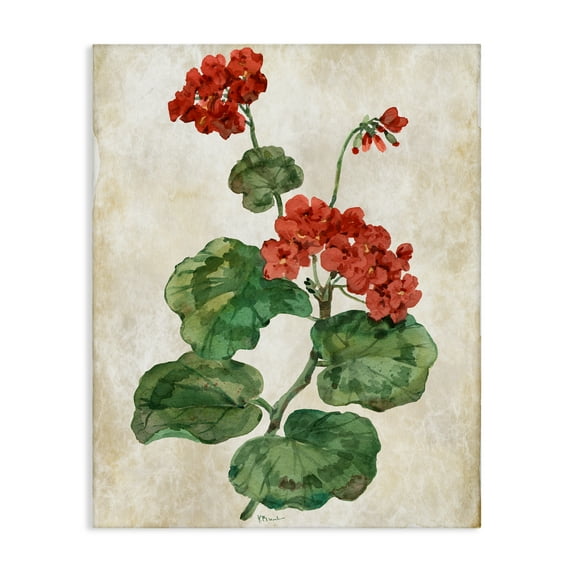 Stupell Industries Floral Journal Flower Painting Canvas Wall Art, design by Paul Brent, 40 x 30