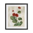 thumbnail image 1 of Stupell Industries Floral Journal Red Flower Black Framed Print Under Glass, design by Paul Brent, 21 x 17, 1 of 10