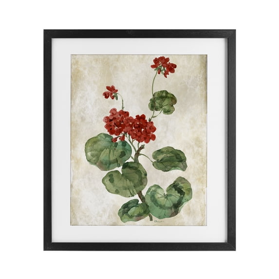 Stupell Industries Floral Journal Red Flower Black Framed Print Under Glass, design by Paul Brent, 21 x 17