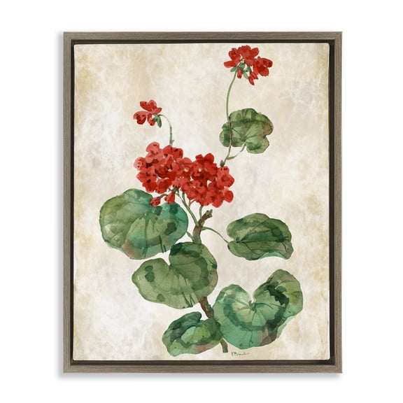Stupell Industries Floral Journal Red Flower Brown Framed Floater Canvas Wall Art, design by Paul Brent, 31 x 25