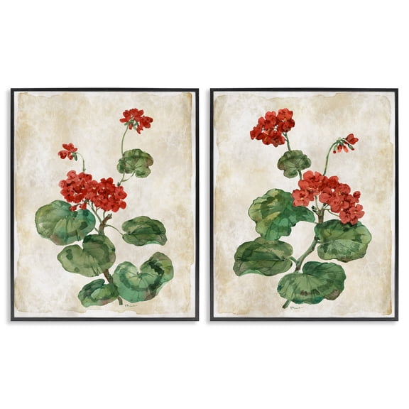 Stupell Industries Floral Journal Red Flower Painting 2 Piece Black Framed Giclee Art Set, design by Paul Brent, 20 x 16