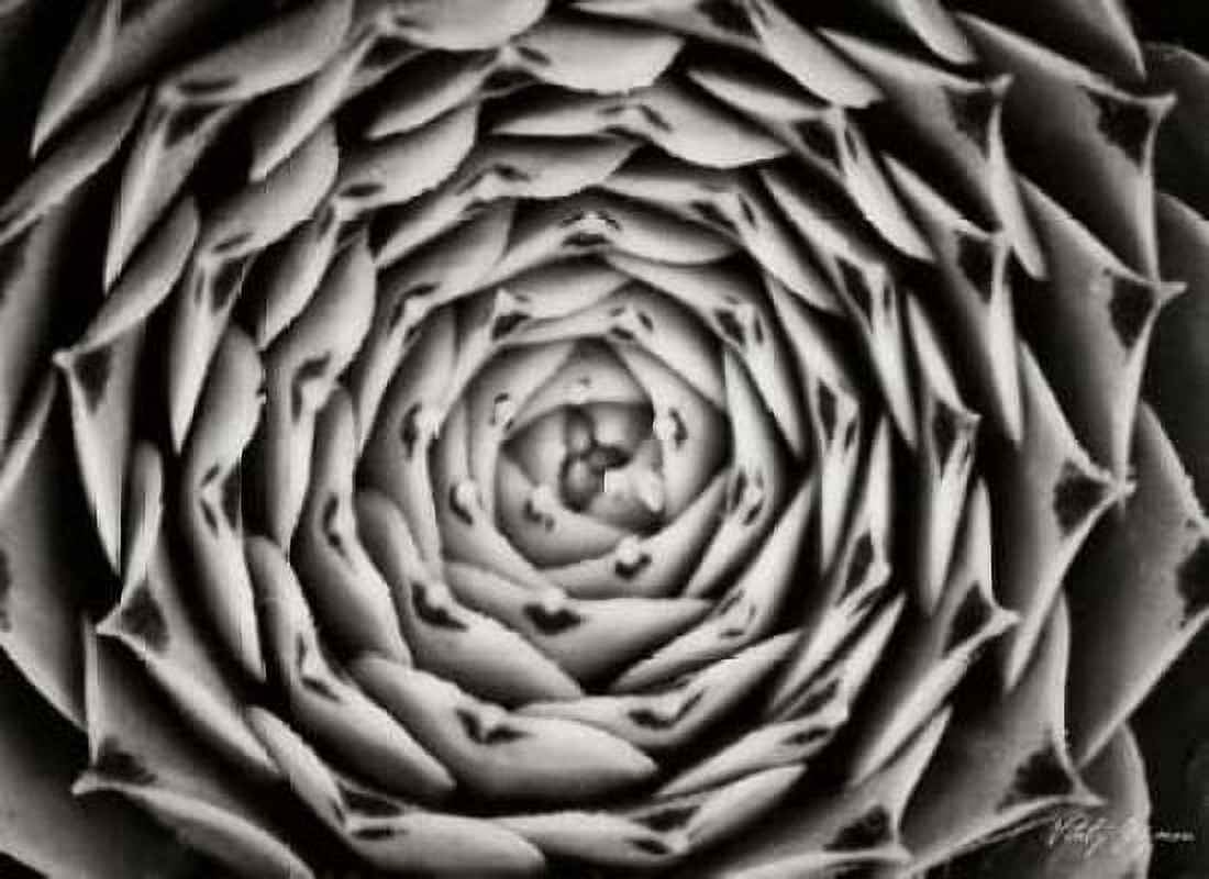 Floral Labyrinth I Canvas Art - Vitaly Geyman (18 x 24)
