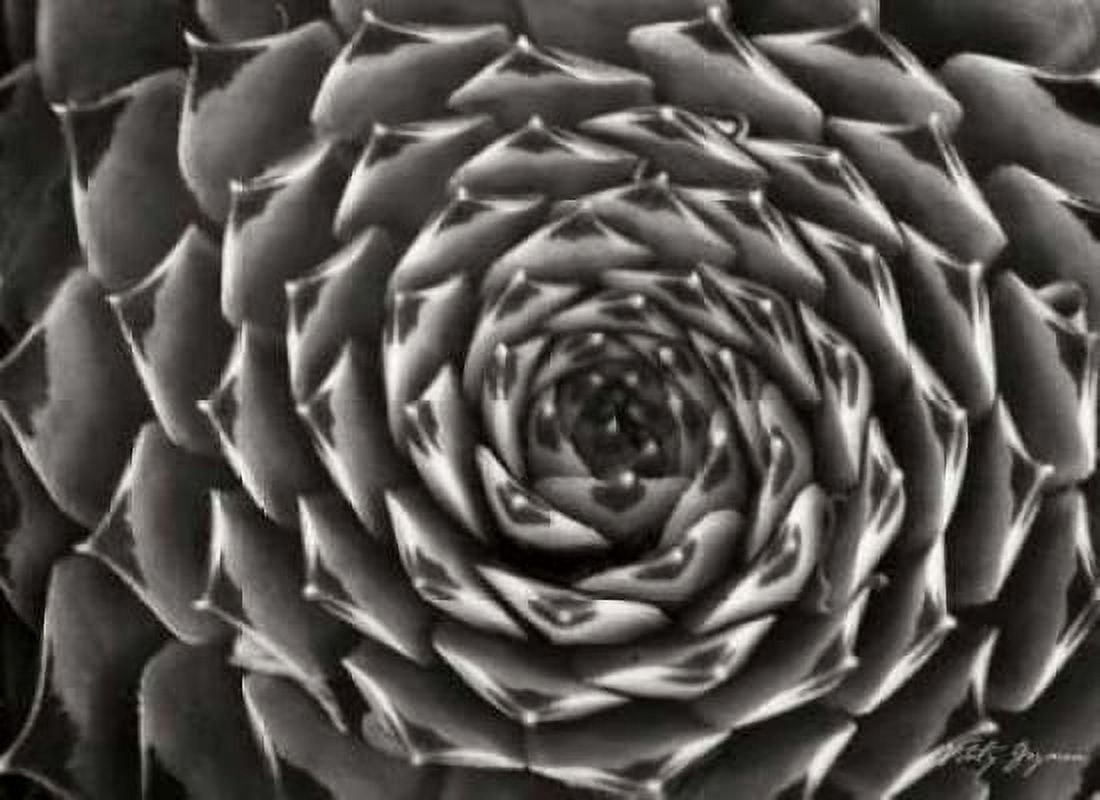Floral Labyrinth II Canvas Art - Vitaly Geyman (18 x 24)