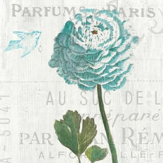 Floral Messages on Wood II Blue Canvas Art - Sue Schlabach (24 x 24)