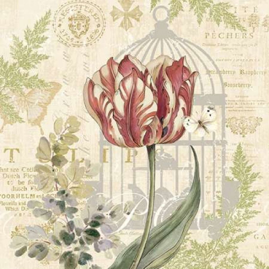 Floral Nature Trail II Canvas Art - Pamela Gladding (24 x 24)