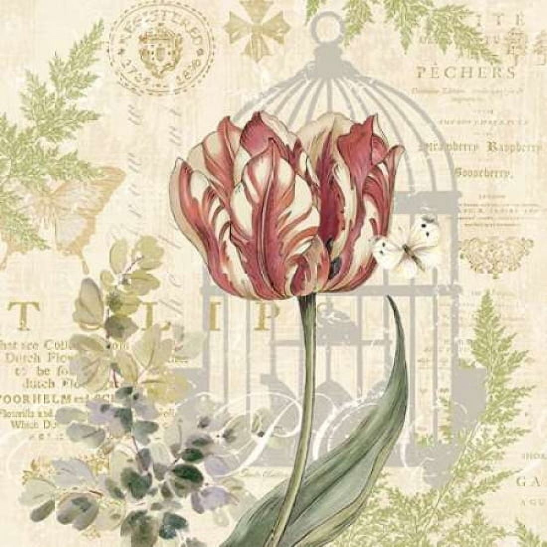 Floral Nature Trail II Canvas Art - Pamela Gladding (24 x 24)