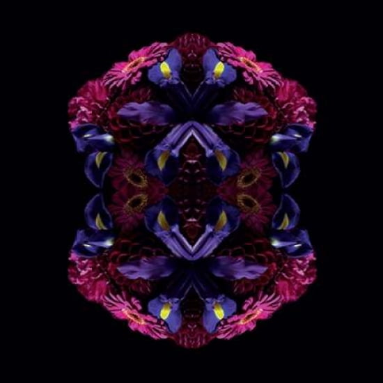 Floral Nirvana Canvas Art - Alyson Fennell (24 x 24)