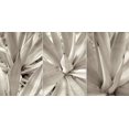 thumbnail image 1 of Floral Panel - 4 Poster Print by Alan Blaustein (24 x 48), 1 of 1