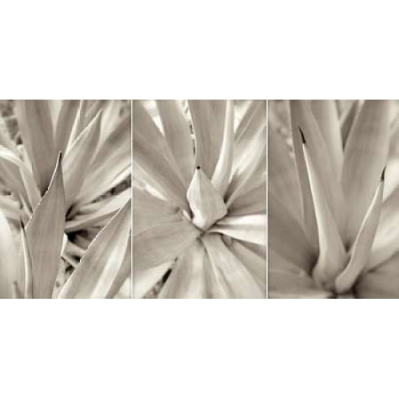Floral Panel - 4 Poster Print by Alan Blaustein (24 x 48)