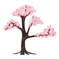 thumbnail image 1 of Floral Peel and Stick Cherry Blossom Bunch-Vinyl Wall Decal -Sticker For Home Decoration-Easy to use-Wall Mural to Transform a Room with a New Look-Size: 10" x 9"., 1 of 3