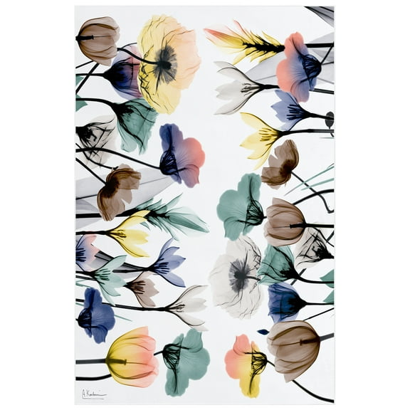 Floral Pleasures I Washable Flowers Art Area Rug size 5'x8', Power-loomed, Heavenly Softness with Non-Slipping Backing