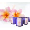 thumbnail image 1 of Terreux Mind & Body 8.5 oz Glass Jar Candle with 45 h Burn Time, Plumeria Scented, 1 of 6