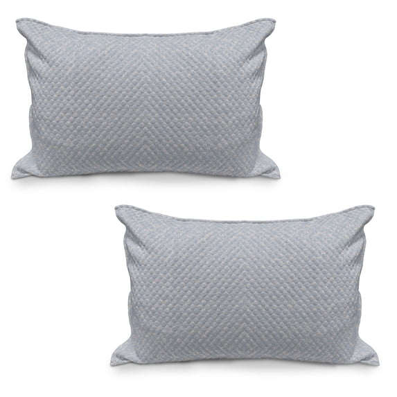 Floral Quilted Pillowcover Set of 2, Flower Arrangement Abstract Flying Petals Foliage Leaves Silhouette Composition, Standard Queen Size Pillow Cover Bedroom, 30" x 20", Blue Grey Tan, by Ambesonne