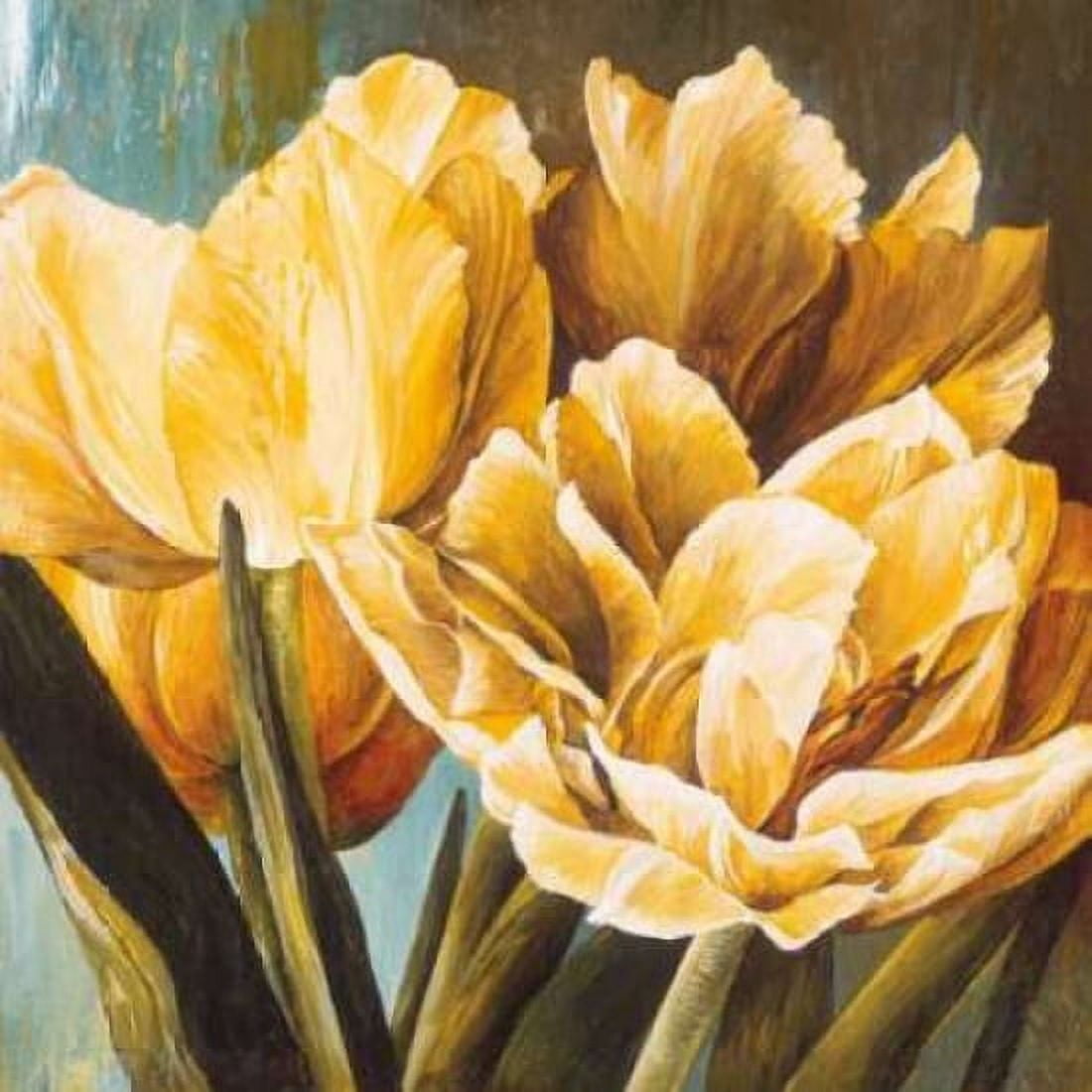 Floral Radiance II Canvas Art - Linda Thompson (24 x 24)