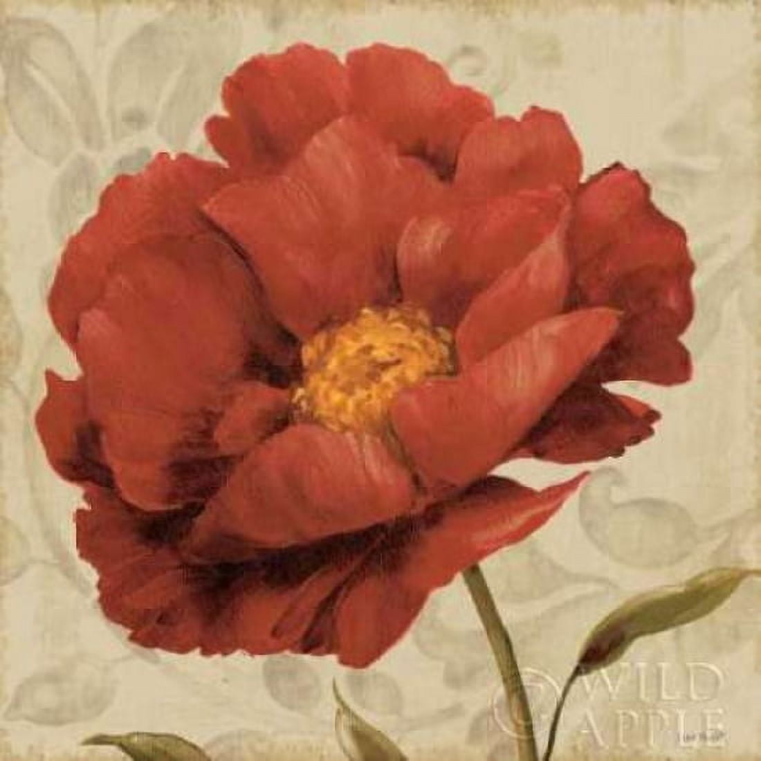 Floral Romance I C Canvas Art - Lisa Audit (24 x 24)