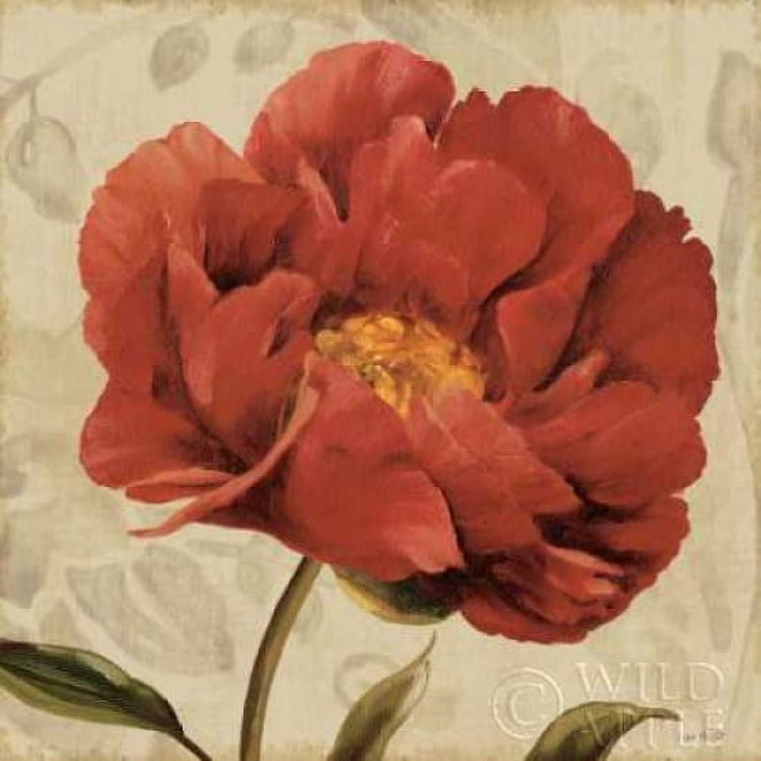 Floral Romance II C Canvas Art - Lisa Audit (24 x 24)
