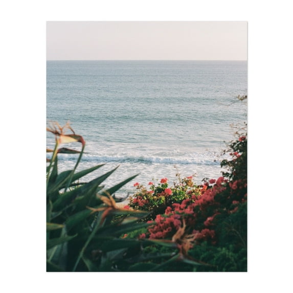Floral San Clemente 01 - San Clemente California Photography Ocean Seascape Coastal Nature Waves Beach Floral Unframed Wall Art Print 9 x 12 inches