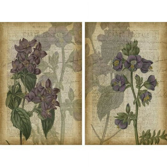 Floral Shadows Diptych